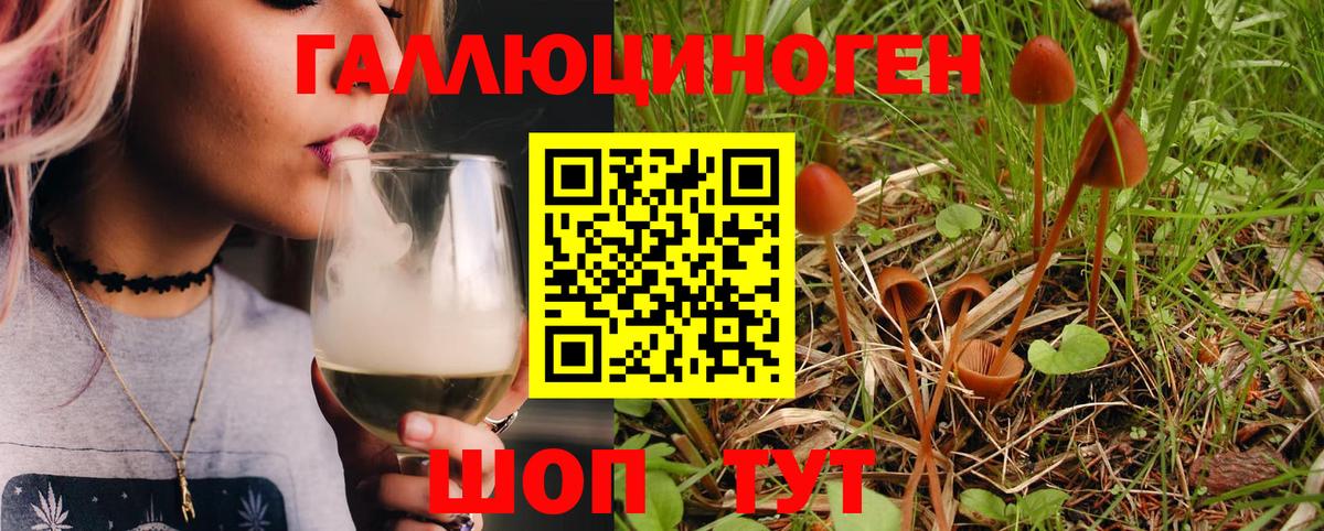 Ессентуки  Галлюциногенные грибы MAGIC MUSHROOMS  Вход с VPN 