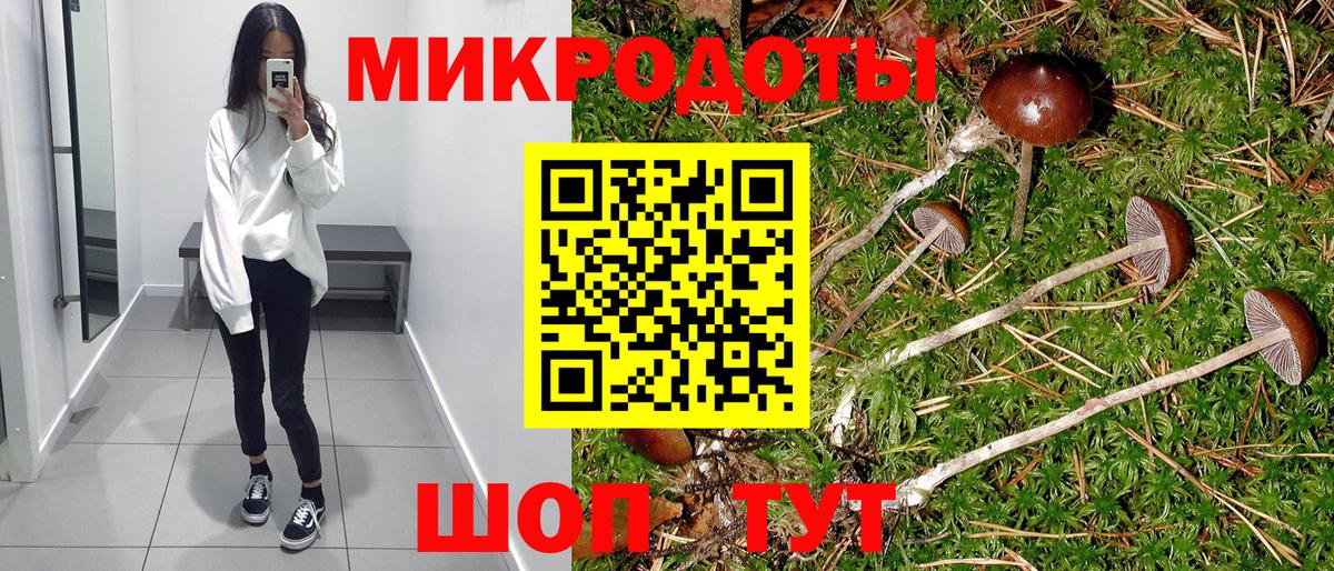 Галлюциногенные грибы ЛСД Ессентуки